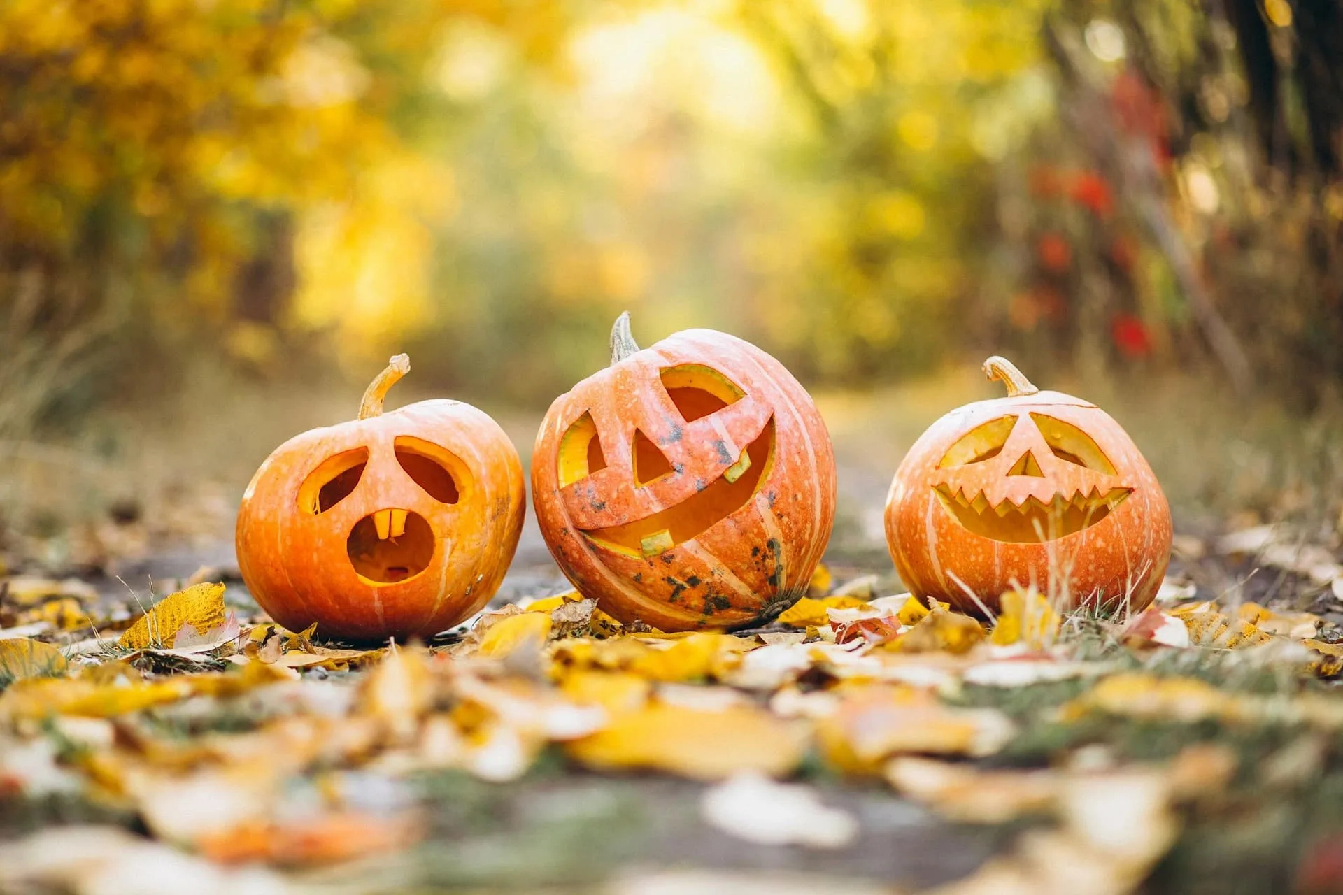 Halloween Aalborg